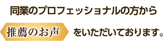 同業のプロフェッショナルの方から推薦のお声をいただいております。